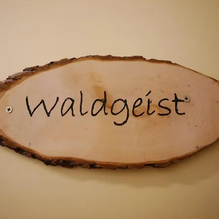 Apartment Upland - Waldgeist Willingen (Upland)